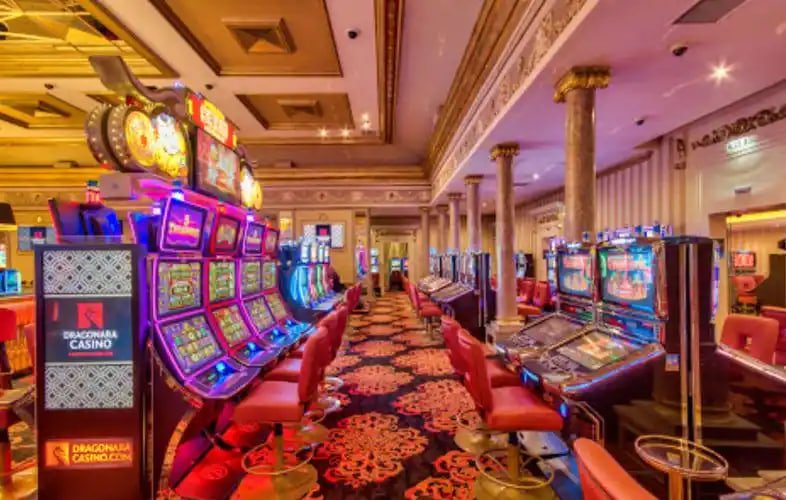 29 bet app