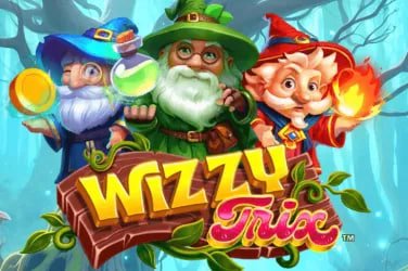 29 bet app